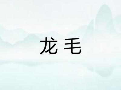 龙毛