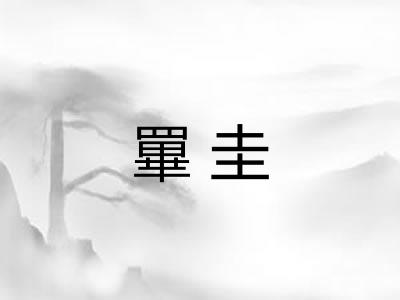 罼圭
