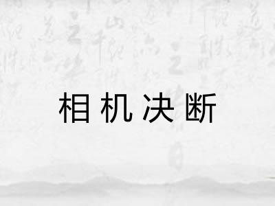 相机决断