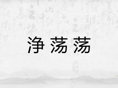 浄荡荡