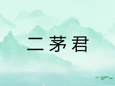 二茅君