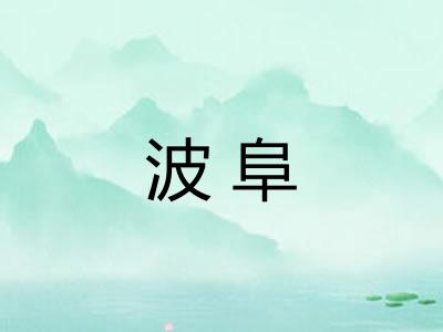 波阜