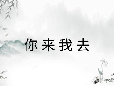 你来我去