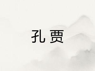孔贾
