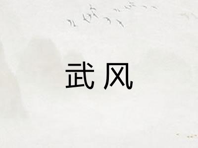 武风