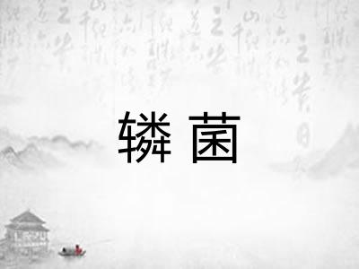辚菌