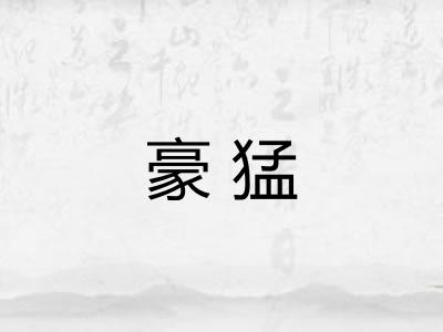 豪猛