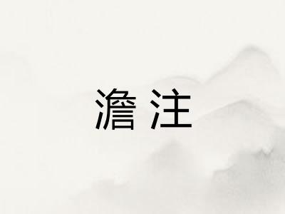 澹注
