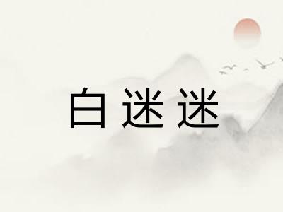 白迷迷 白迷迷