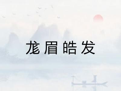 尨眉皓发