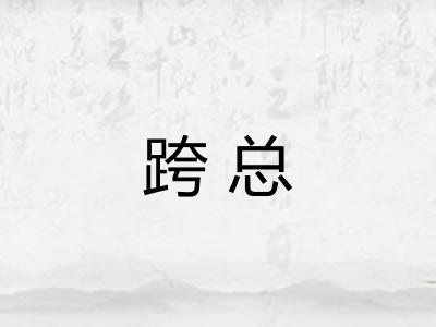 跨总