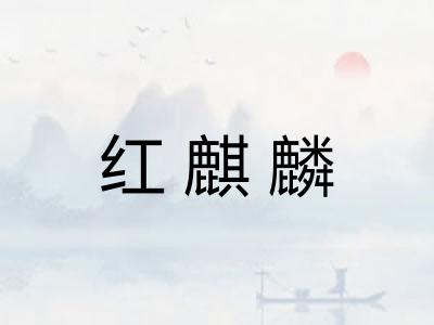 红麒麟 红麒麟