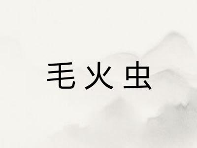 毛火虫