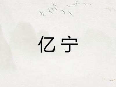 亿宁