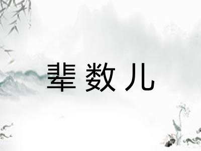 辈数儿