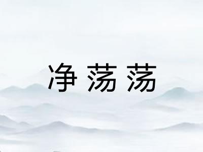 净荡荡