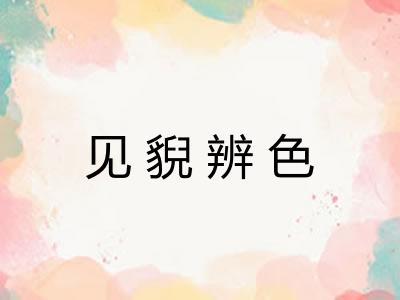 见貎辨色