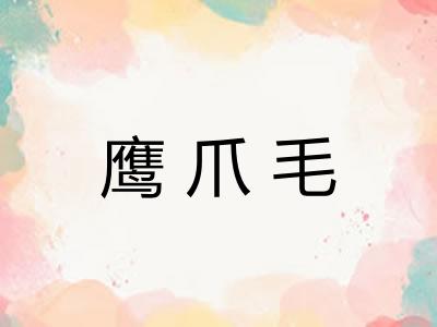 鹰爪毛