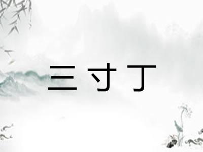 三寸丁