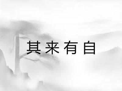 其来有自