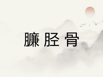 臁胫骨