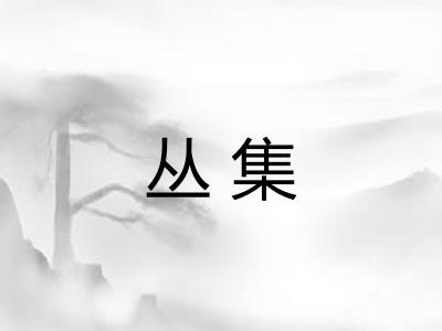 丛集