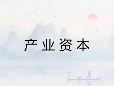 产业资本