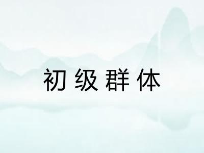 初级群体