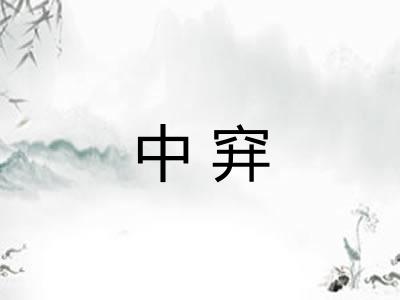 中穽