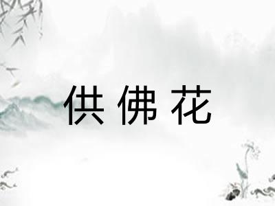 供佛花 供佛花