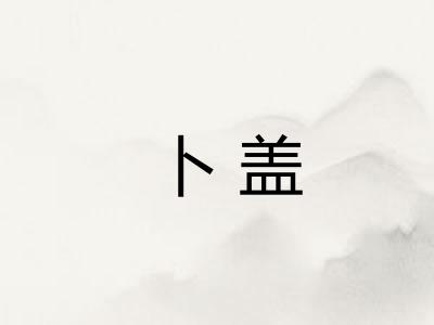 卜盖