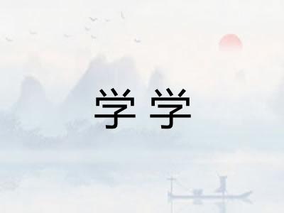 学学