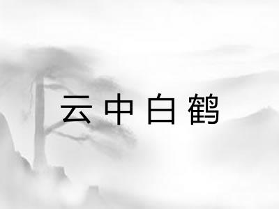 云中白鹤