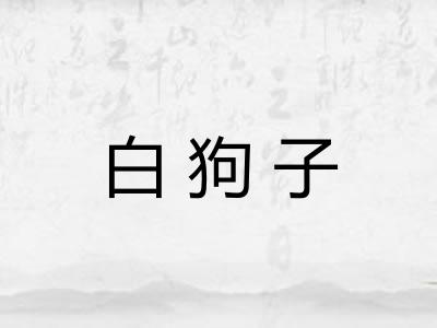 白狗子