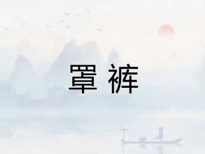 罩裤