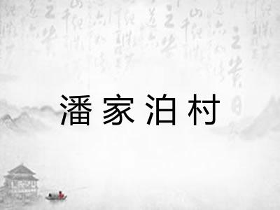 潘家泊村