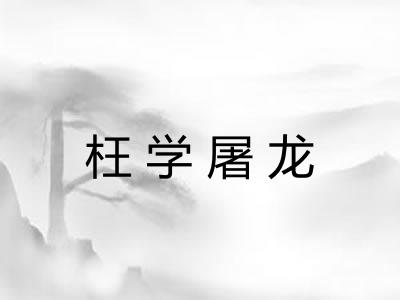 枉学屠龙