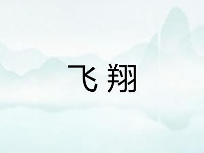 飞翔