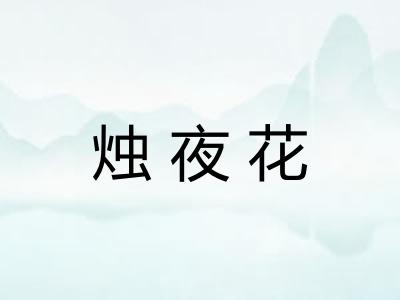 烛夜花