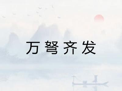 万弩齐发