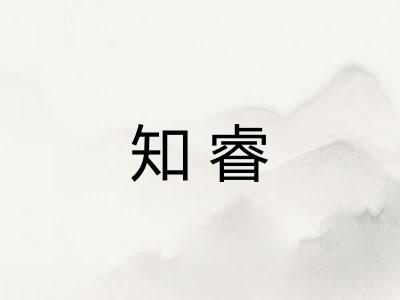 知睿