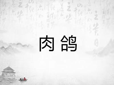 肉鸽