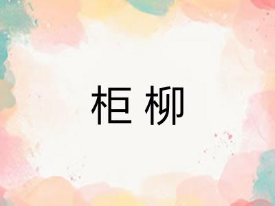 柜柳