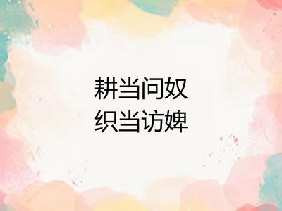 耕当问奴织当访婢