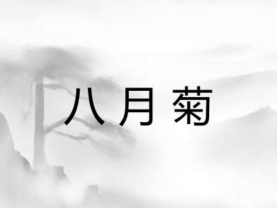 八月菊