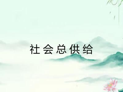 社会总供给