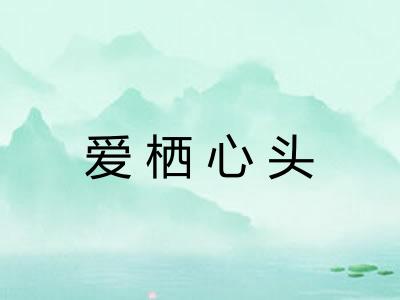 爱栖心头