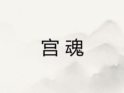 宫魂