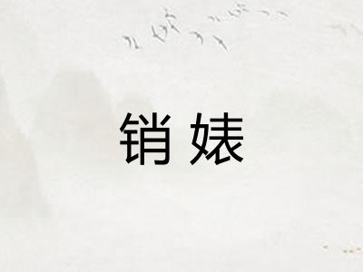 销婊