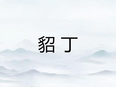 貂丁
